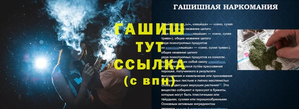 эйфоретик Бикин