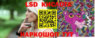 индика Будённовск