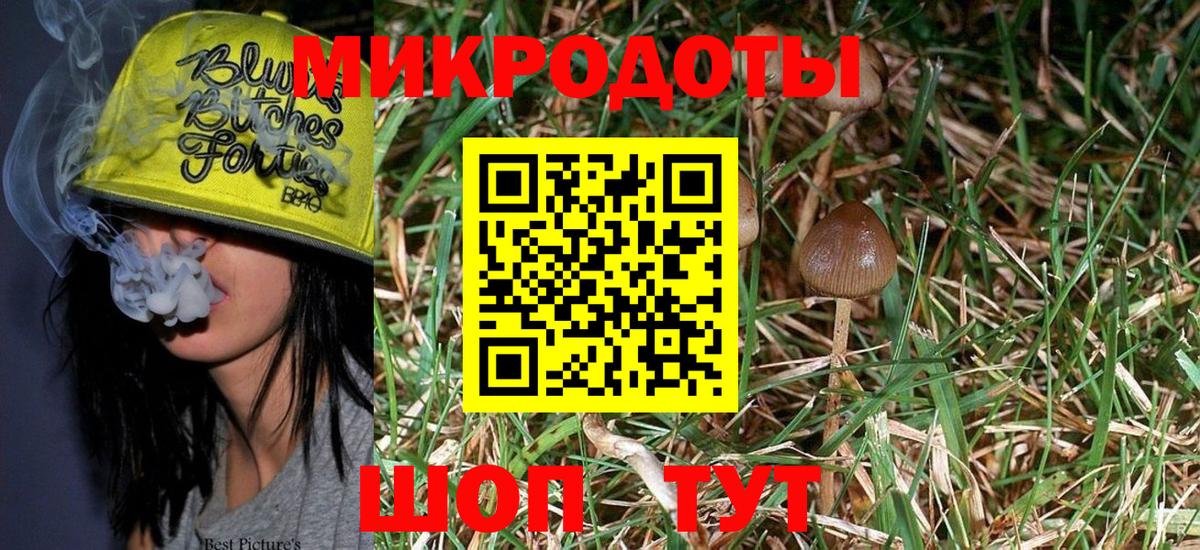 Галлюциногенные грибы MAGIC MUSHROOMS Гатчина