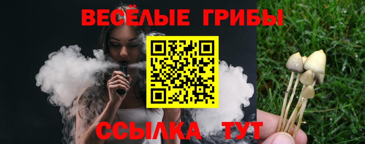 Галлюциногенные грибы мицелий  Гатчина 