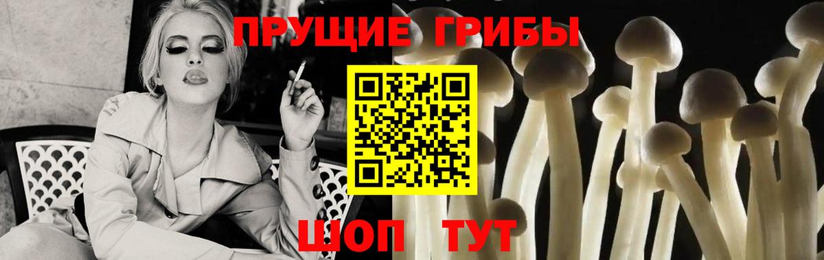 Галлюциногенные грибы GOLDEN TEACHER Гатчина