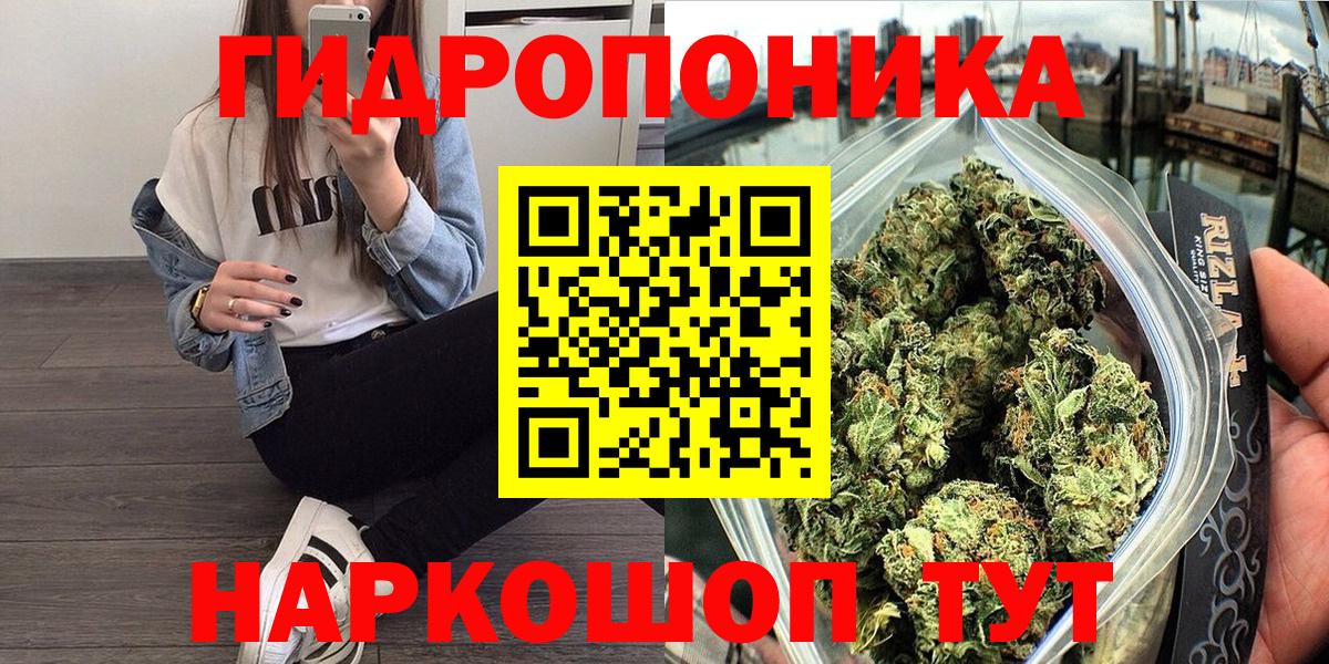 Конопля марихуана  Марихуана White Widow  МАРИХУАНА конопля  Вход с VPN  Бошки марихуана AK-47  Гатчина 