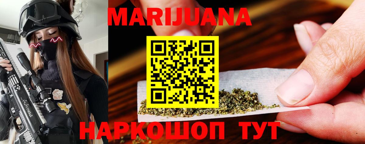 Бошки Шишки план Гатчина